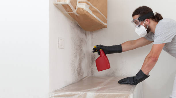 Professional Bathroom Mold Removal technician working in Key Biscayne, FL