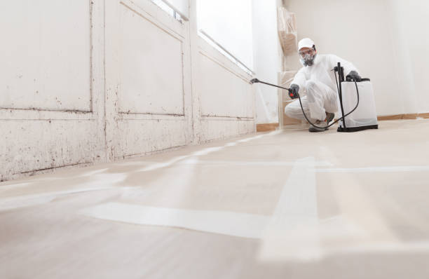 24/7 Emergency Bathroom Mold Removal experts in Key Biscayne, FL
